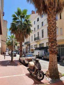 Alger 3