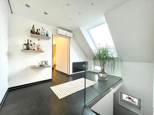 All NEW FLAT NEARBY DRESDEN !!!POOL!!!