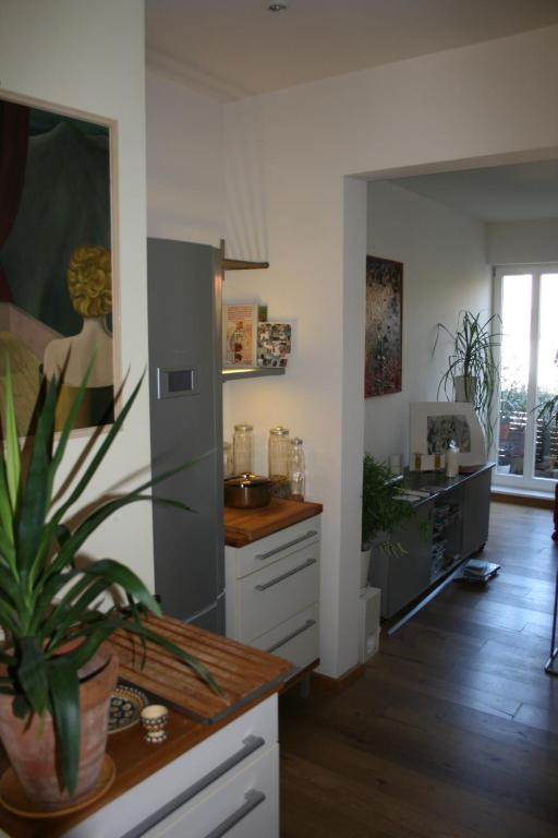 Appartement Allerheiligenstrasse 17 Allerheiligenstraße 99084 Erfurt