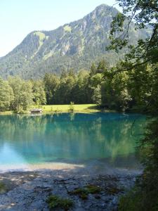 Appartement Allgäu Berge und Seen Rubihornweg 18 87509 Immenstadt Bavière