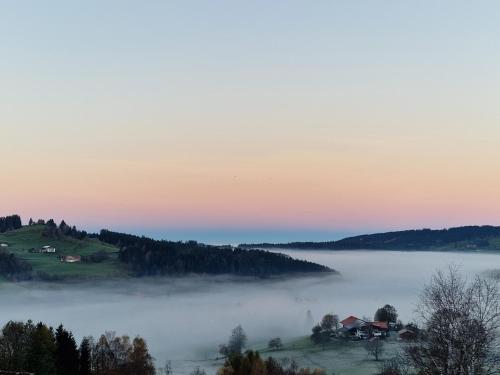 Allgäuer Ausblick