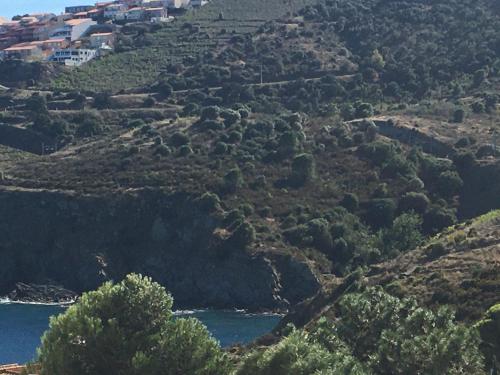 Aloès