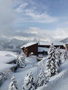 ALPE D'HUEZ APPARTEMENT PLEIN SUD - 4 PERSONNES