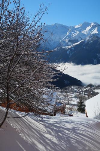 Alpe d'Huez Les Balcons de la Sagne 252-254 route d'Huez Appart 410