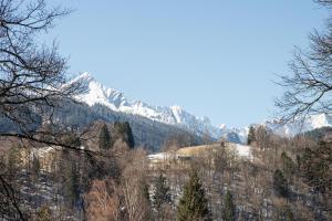 Alpen Loggia