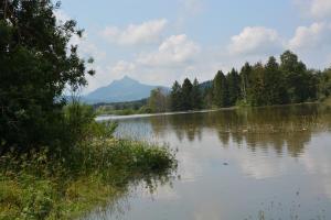 Alpenblick