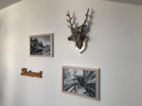 Alpenflair Ferienwohnung 311 Bergzeit