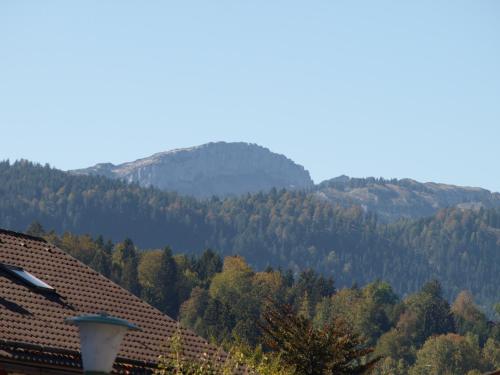 Alpenflair Ferienwohnungen, Whg 225 Gipfelblick