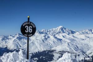 ALPES les ARCS 1950 Prince des Cimes, skis aux pieds, piscine, sauna, activités