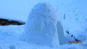 Alpine Lodge 3
