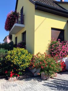 Appartement ALSACE Gîte jardin garage prox Colmar Eguisheim Rt vins 29 Rue Martin Drolling 68127 Oberhergheim Alsace