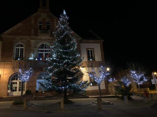 Alsace Randonnee ou Ski Bel appartement