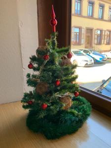 Alsace Randonnee ou Ski Bel appartement