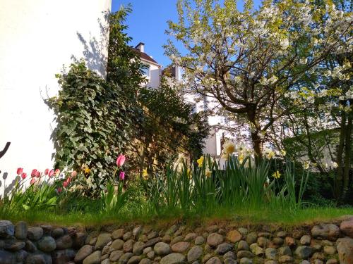 Alster City Garden Villa