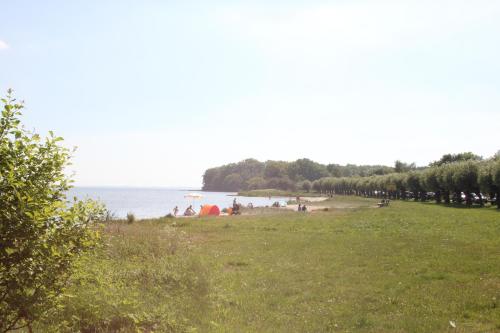 Alte Fischfabrik Lauterbach FeWo Nr 10 Balkon, Sauna, Hafennähe