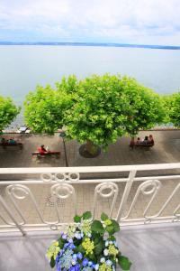 Alte Molke Apartment 6
