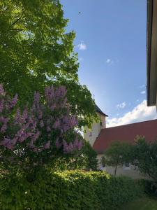 Altes Schulhaus Mutschelbach