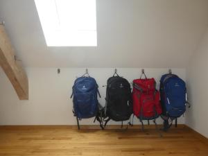 Altes Zollhaus Fischbach - DG-Loft