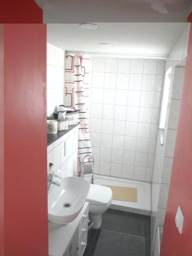 Altstadt Linz, günstiges Atelierloft