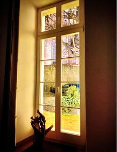 Appartement Altstadt pur! An der schönen Katharinenkirche 15 Schulstraße 55276 Oppenheim Rhénanie-Palatinat