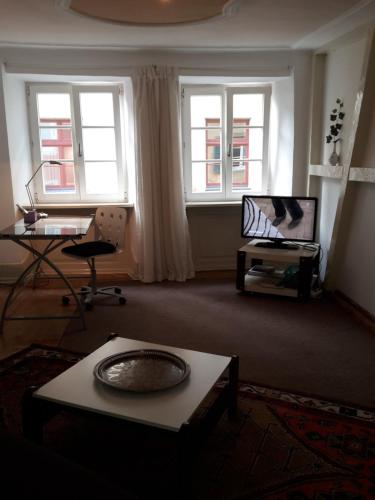Altstadtapartment Wilder Mann