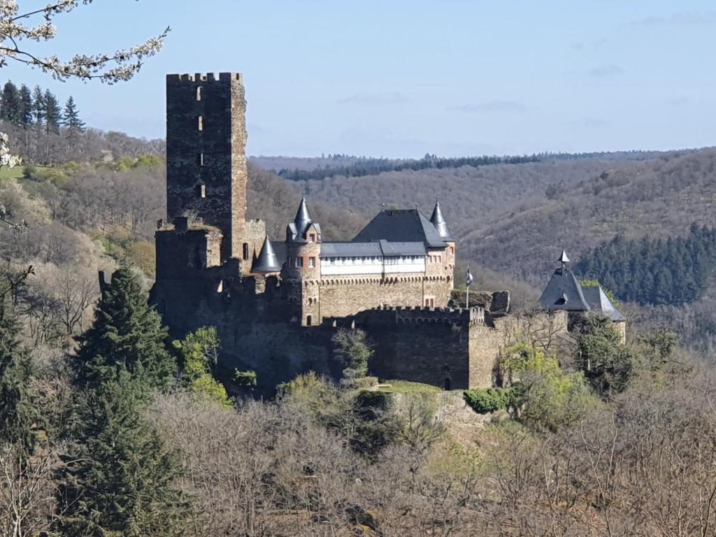 Am Burggraben auf der Sauerburg Sauerburg 65391 Sauerthal, 65391 Sauerthal