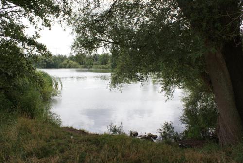 Am Jungfernteich mit Terrasse, Parkplatz, Kajak - ABC279