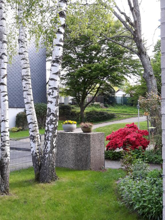 Am Klinikum Cheruskerstraße 20, 42653 Solingen