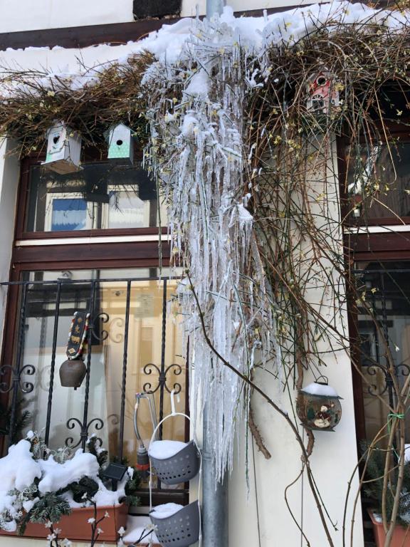 Am Mathildenbrunnen groß 21 Pölkenstraße, 06484 Quedlinbourg