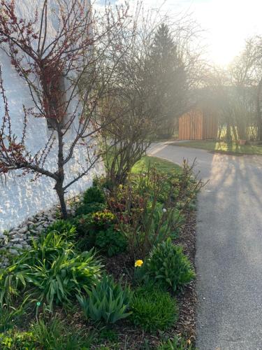 Am Schafhof