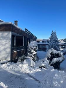 Am Skihang Möppis Hütte