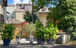 Amazing apartment in Corre with WiFi