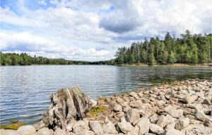 Amazing apartment in Dankerode with WiFi and 2 Bedrooms