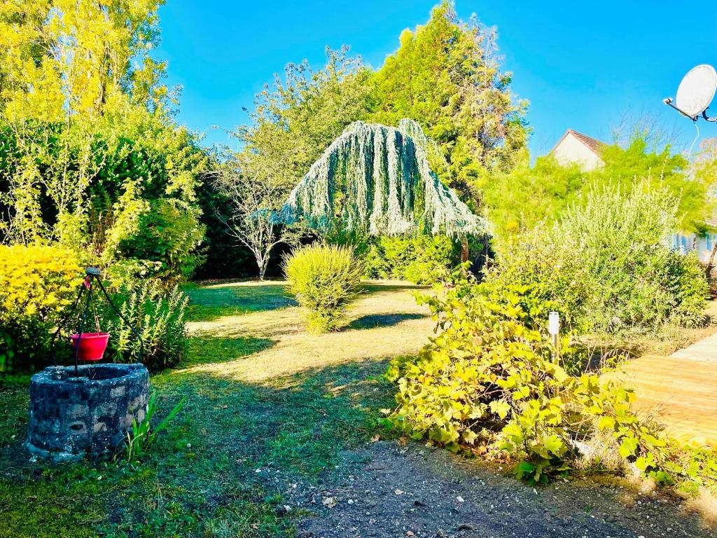 Amazing apartment in Gages with Outdoor swimming pool and 2 Bedrooms