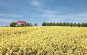 Amazing apartment in Insel Poel-Kirchdorf with 1 Bedrooms