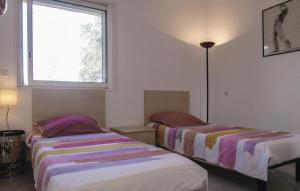 Amazing apartment in Oletta with 2 Bedrooms
