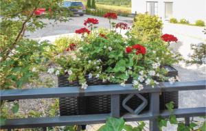 Amazing apartment in Willingen with 1 Bedrooms, Sauna and WiFi