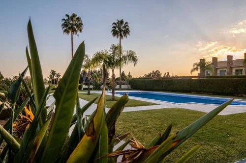 Amazing Apartment With Pool View