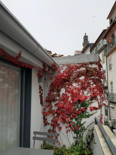 Amazing City Center Apartment Porto Villa Lóios