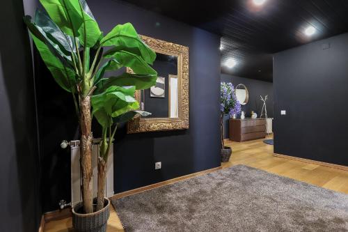 Amazing Downtown Family Apartment