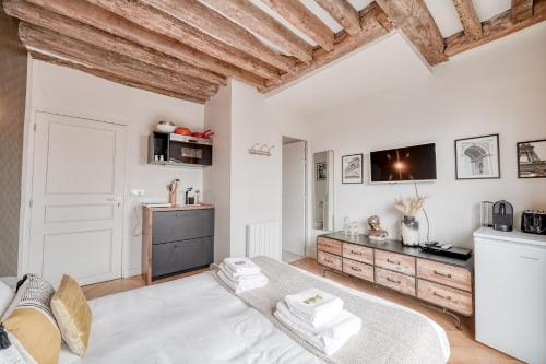 AMAZING HISTORICAL PARISIEN FLAT NEXT TO LOUVRE AREA ! -5