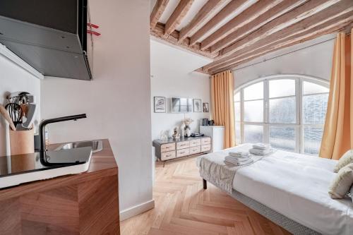 AMAZING HISTORICAL PARISIEN FLAT NEXT TO LOUVRE AREA ! -5