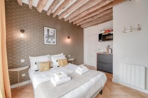 AMAZING HISTORICAL PARISIEN FLAT NEXT TO LOUVRE AREA ! -5