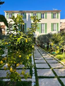 amazing new property in the heart of the old town of antibes