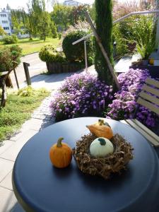Ambiente in Karlsruhe City