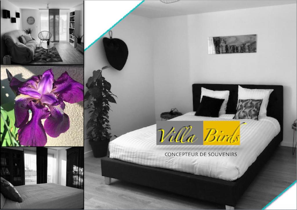 Ameijeira 110 by Destination Algarve 8600-616 Lagos