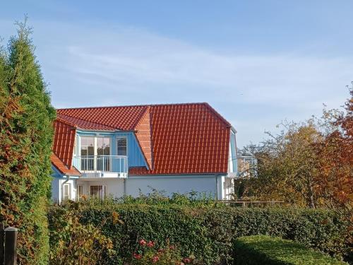 An den Boddenwiesen II