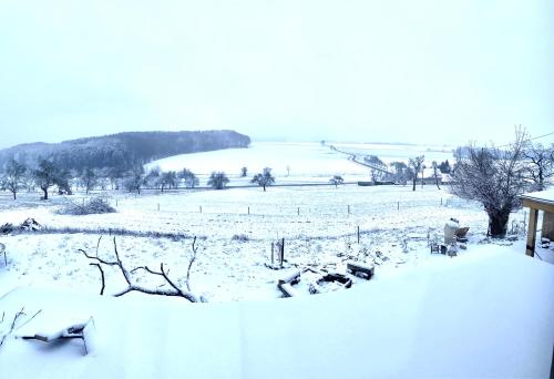 An der Walnuss