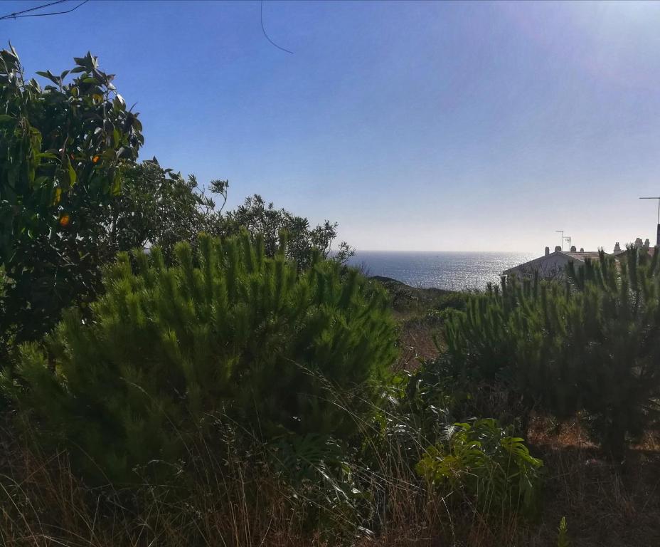 An out of time apartment near the beach in São Bernardino Rua Capela, 2525-758 Atouguia da Baleia