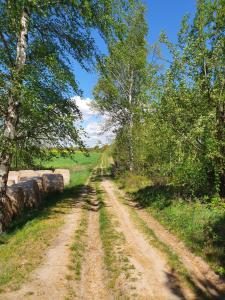 Anni's Waldblick